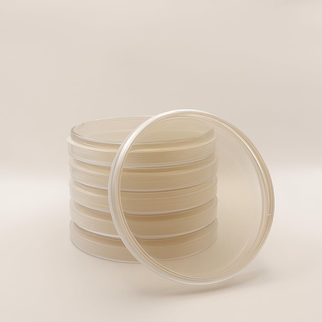 Pre-poured MEYA (Malt Extract Yeast Agar) Agar Petri Dishes in 90mm Plates, 6pcs