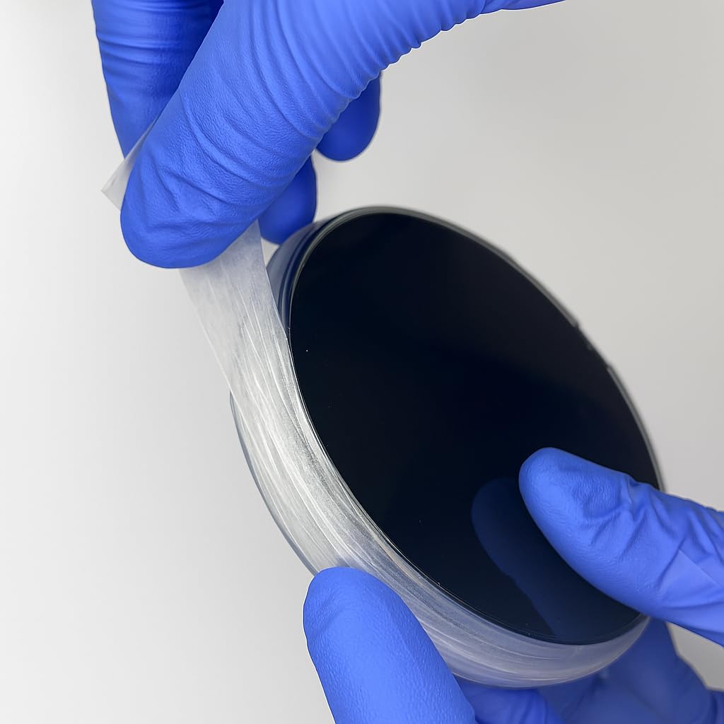 Potato Dextrose Agar with Activated Charcoal Plates, 10pcs